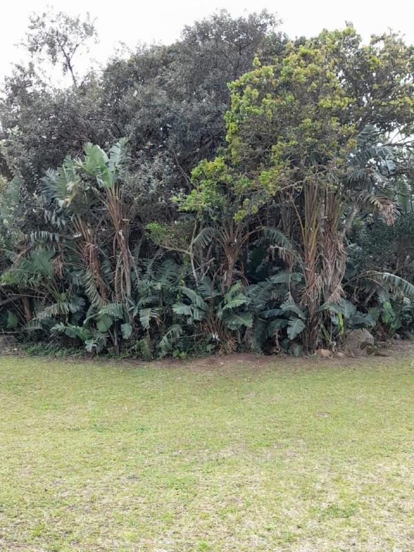 19 Montego Bay Caribbean Estate Apartman Port Edward Kültér fotó