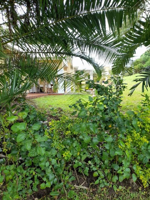 19 Montego Bay Caribbean Estate Apartman Port Edward Kültér fotó